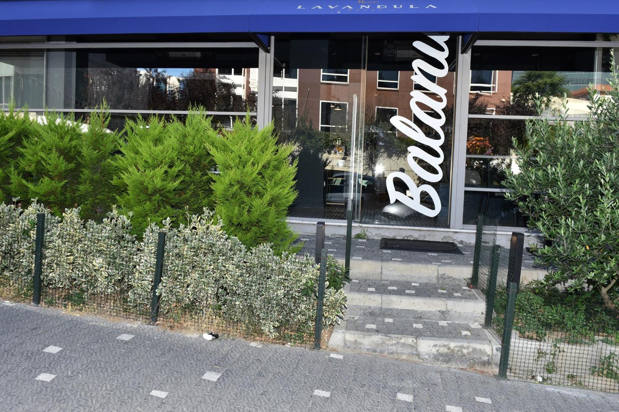 Levent Lavandula Hotel Istanbul Exteriör bild
